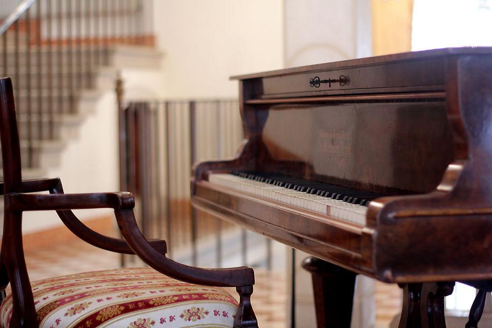 Domus Dotti V Guest House Тревизо Экстерьер фото
